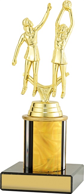 n8056_discount-netball-trophies.jpg