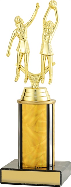 n8056_discount-netball-trophies.jpg