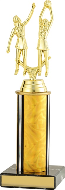 n8056_discount-netball-trophies.jpg