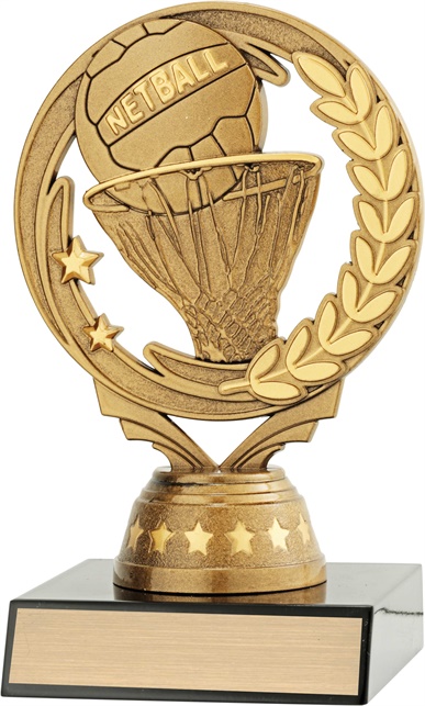 n8063_discount-netball-trophies.jpg