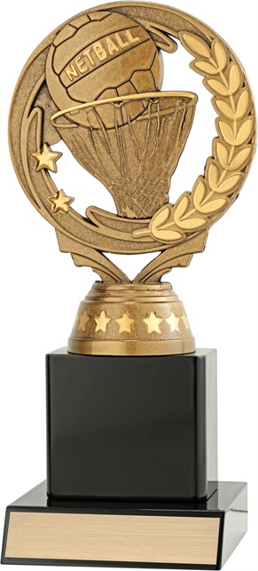 n8064_discount-netball-trophies.jpg