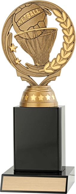 n8064_discount-netball-trophies.jpg