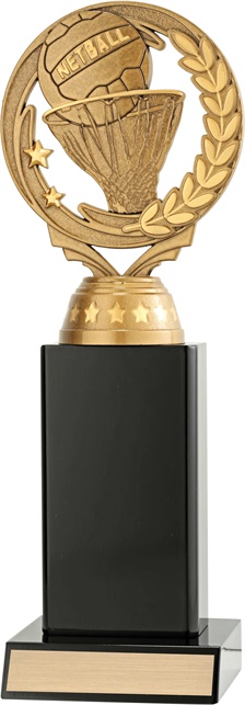 n8064_discount-netball-trophies.jpg