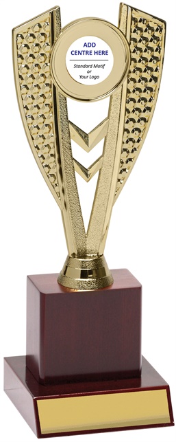 n8071_discount-netball-trophies.jpg