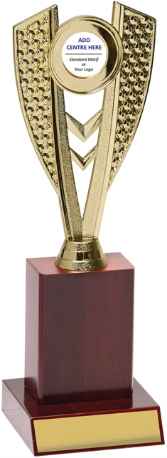 n8071_discount-netball-trophies.jpg