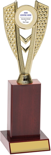 n8071_discount-netball-trophies.jpg