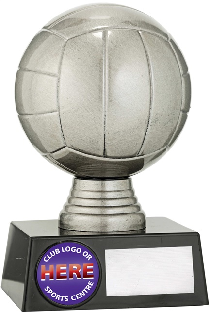 n9016_discount-netball-trophies.jpg