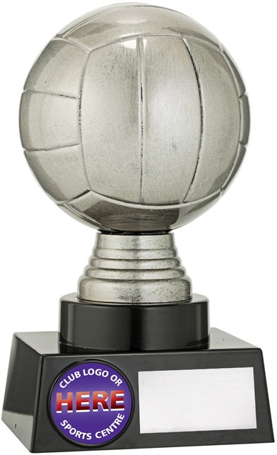 n9016_discount-netball-trophies.jpg