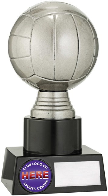 n9016_discount-netball-trophies.jpg