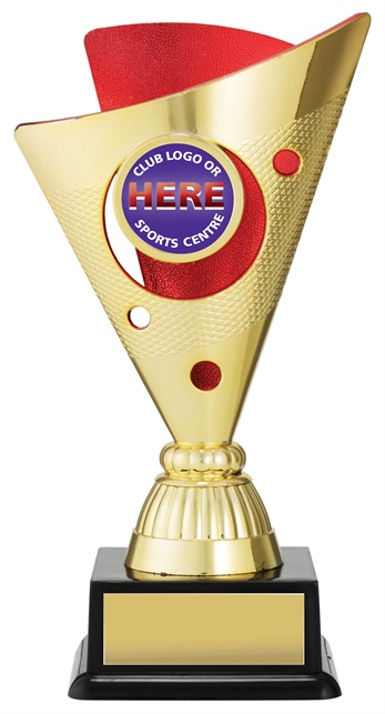 n9028_discount-netball-trophies.jpg