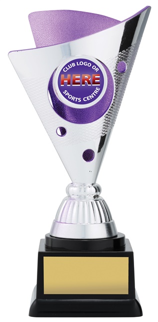 n9031_discount-netball-trophies.jpg