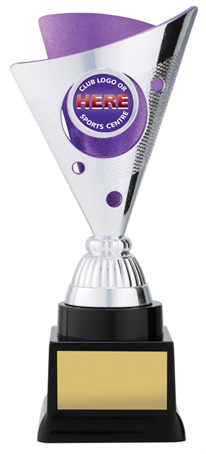 n9031_discount-netball-trophies.jpg