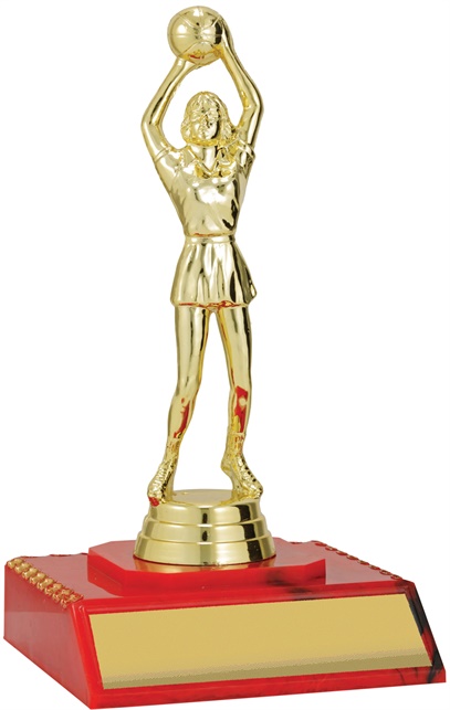 n9127_discount-netball-trophies.jpg