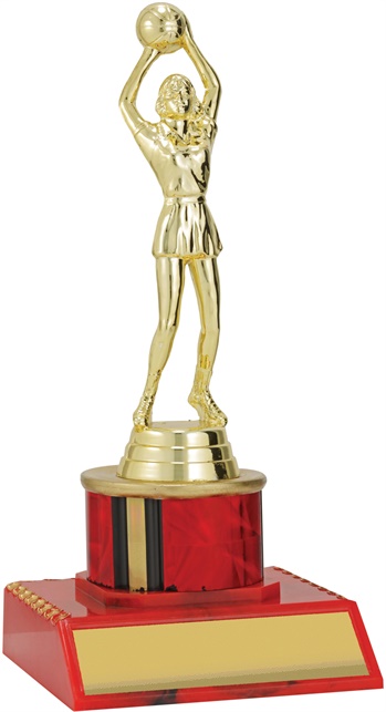 n9128_discount-netball-trophies.jpg