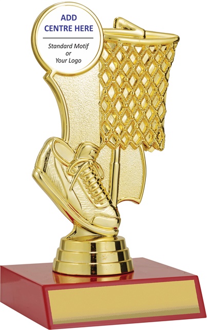 n9135_discount-netball-trophies.jpg