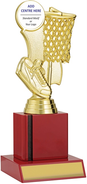 n9136_discount-netball-trophies.jpg