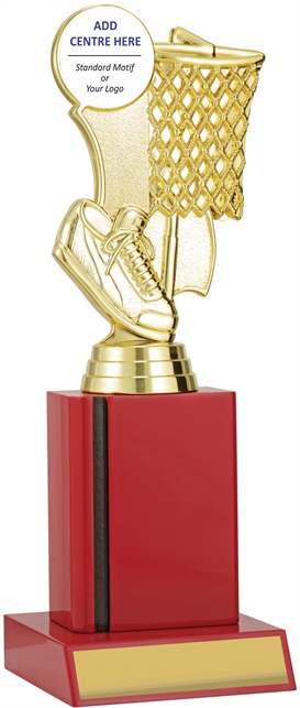 n9136_discount-netball-trophies.jpg