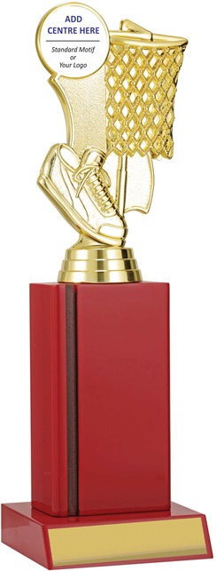 n9136_discount-netball-trophies.jpg