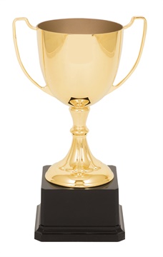 nc02dg_230mm-quality-metal-trophy-cups.jpg