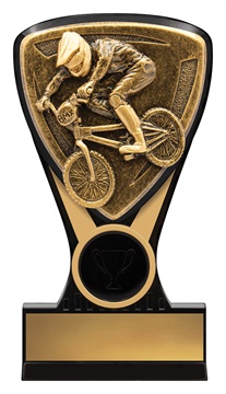 nm107_discount-general-sports-trophies.jpg