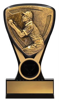 nm110_discount-cricket-trophies.jpg
