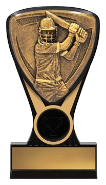 nm114_discount-cricket-trophies.jpg