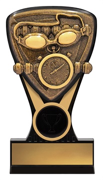 nm130_discount-swimming-trophies.jpg