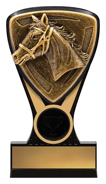 nm135_discount-general-sports-trophies.jpg