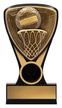 nm137_discount-netball-trophies.jpg