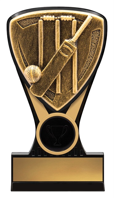 nm140_discount-cricket-trophies.jpg