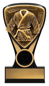 nm145_discount-general-sports-trophies.jpg