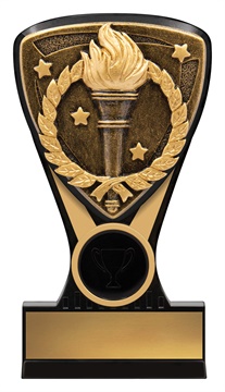 nm195_discount-general-sports-trophies.jpg