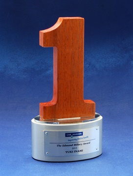 no1-l_custom-designed-trophies-bespoke-awards.jpg