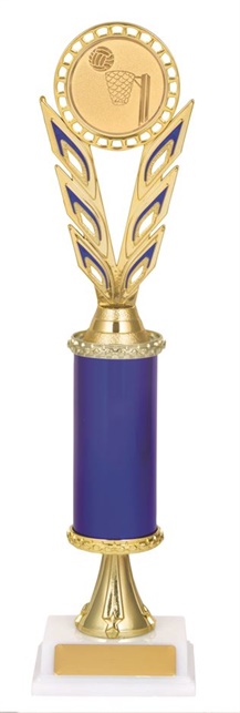 ntg208_netball-trophy.jpg