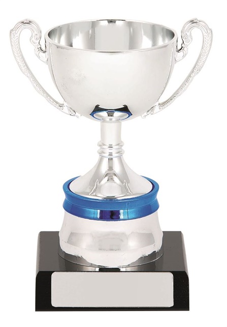 ntg239_netball-trophy.jpg