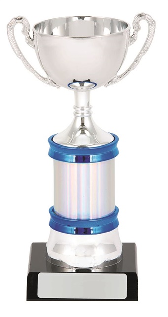 ntg239_netball-trophy.jpg