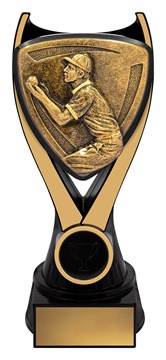 nv910b_discount-cricket-trophies.jpg