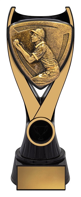 nv910b_discount-cricket-trophies.jpg