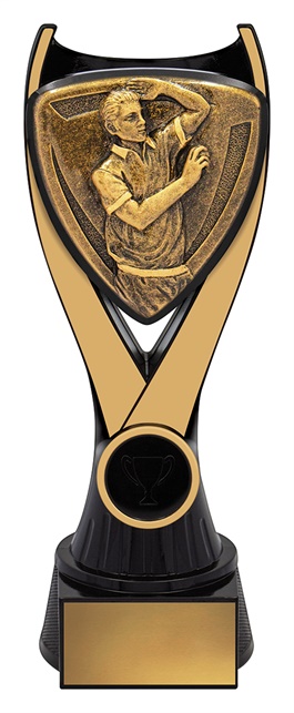 nv911b_discount-cricket-trophies.jpg