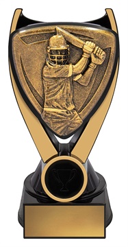 nv914a_discount-cricket-trophies.jpg