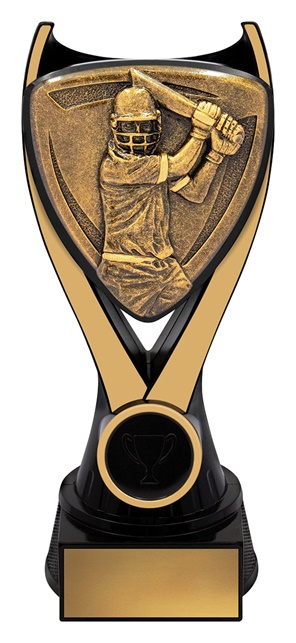 nv914a_discount-cricket-trophies.jpg