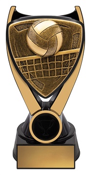 nv927a_discount-general-sports-trophies.jpg