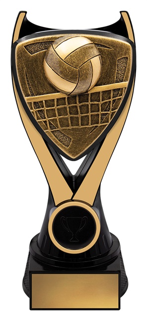 nv927a_discount-general-sports-trophies.jpg