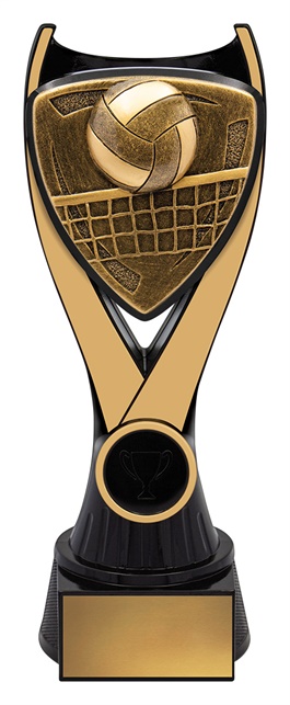 nv927a_discount-general-sports-trophies.jpg