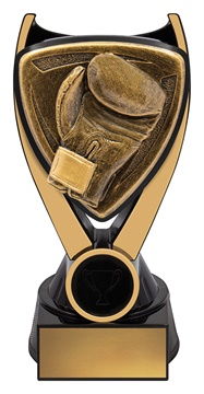 nv932a_discount-general-sports-trophies.jpg