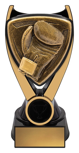 nv932a_discount-general-sports-trophies.jpg