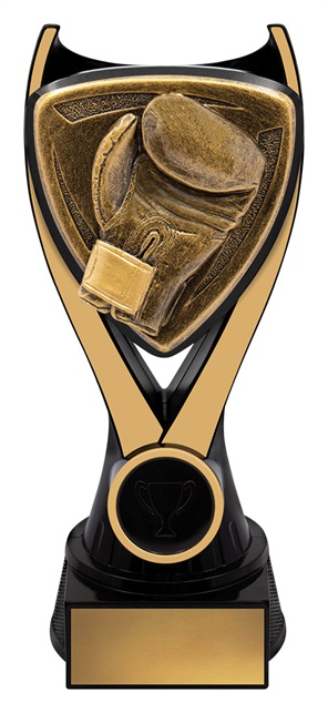 nv932a_discount-general-sports-trophies.jpg