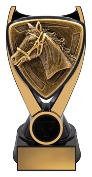 nv935a_discount-general-sports-trophies.jpg