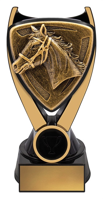 nv935a_discount-general-sports-trophies.jpg