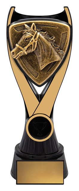 nv935a_discount-general-sports-trophies.jpg